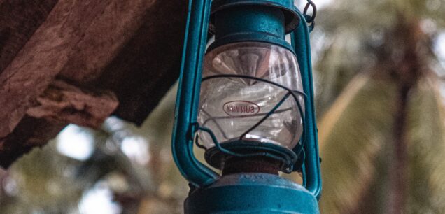 Language and culture journeys