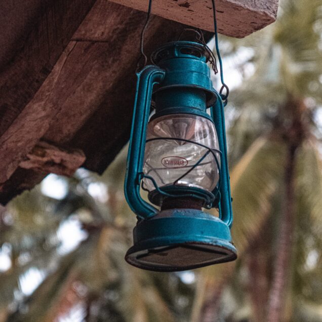 Language and culture journeys